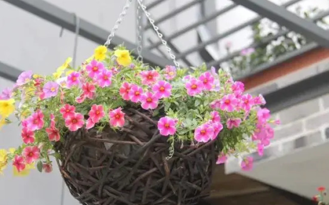 Shenzhen Hua Zhu Xiao Yuan HomestaShenzhen Sha Yu Yong Hua Zhu Xiao Yuan Homesta