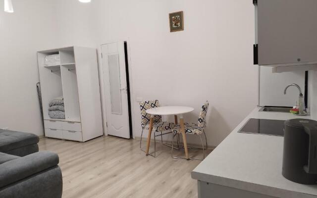 Gediminas Avenue Studio