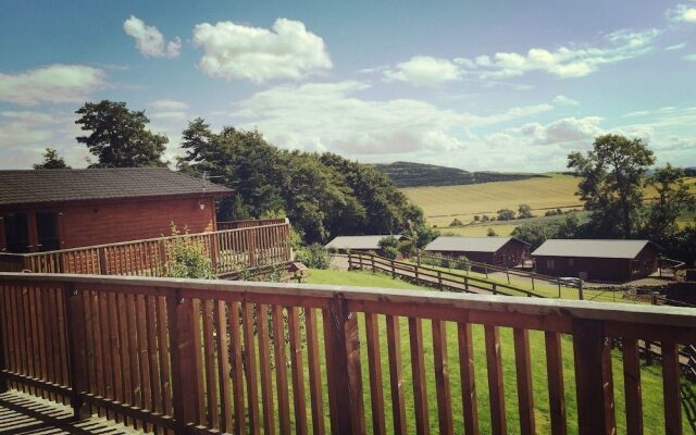 Woodpecker Lodge With Hot Tub Near Cupar, Fife