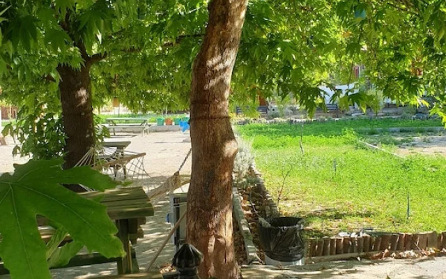 Zeyve Lavanta Tatil Köyü