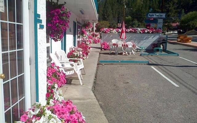 Apple Tree Inn