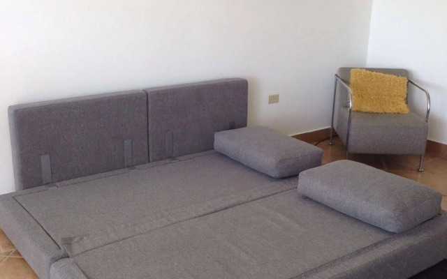 Dolphin Tower Apartment