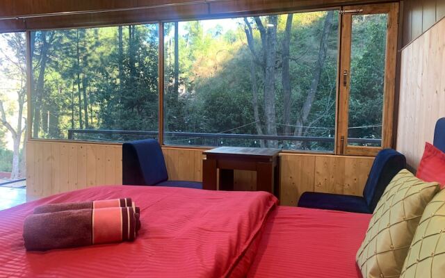 Pine Trails Jungle Camp