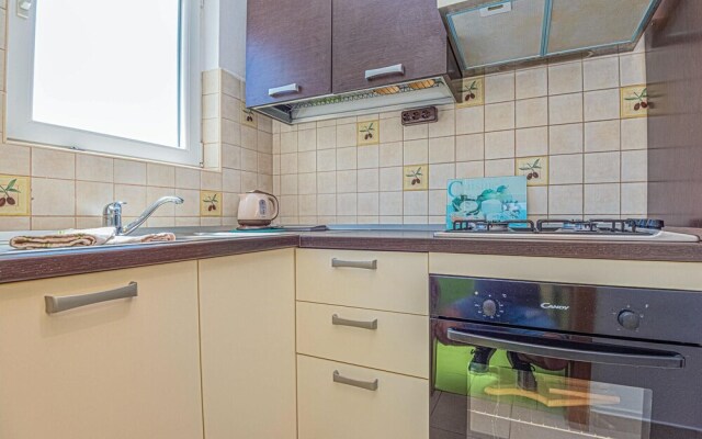 Amazing Apartment in Brodarica With Wifi and 1 Bedrooms