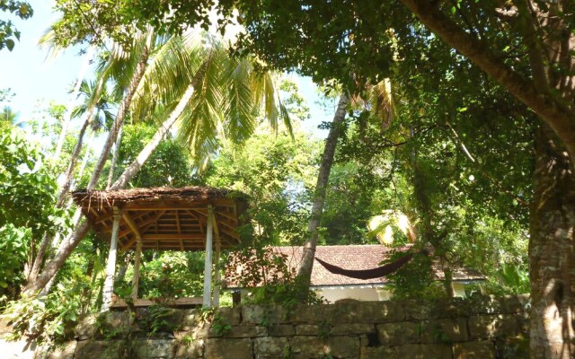 The Jungle House