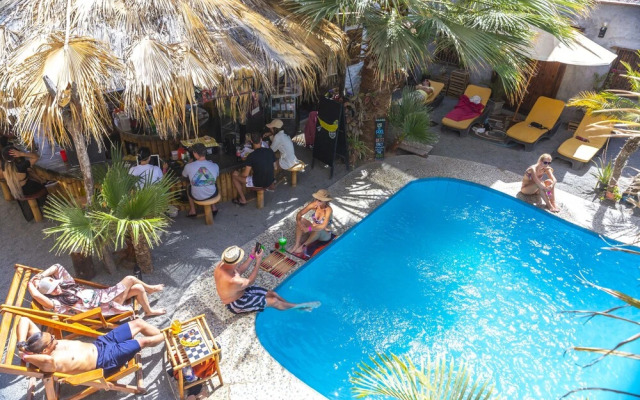Bananas Adventure Hostel