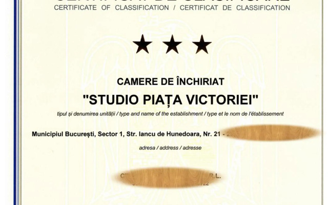 STUDIO Piata Victoriei (Victoriei Square)