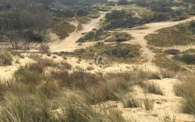 Apartment in Nieuwpoort by the Sea Wall