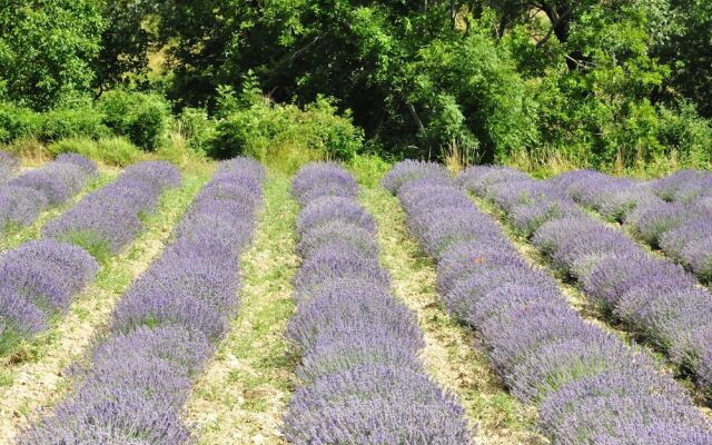 Countryside Villa With Private Swimming Pool at Provence