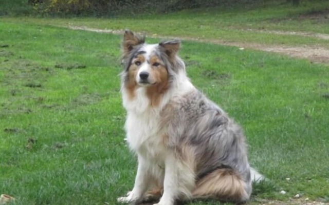 Le gîte de la Petite Résie