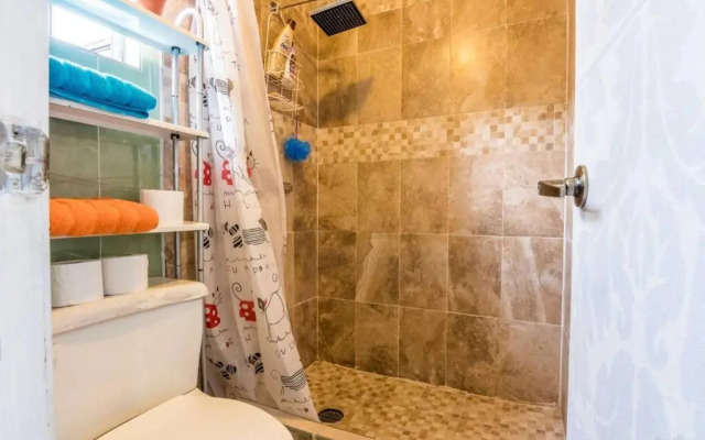 Nice full apartment, downtown on foot