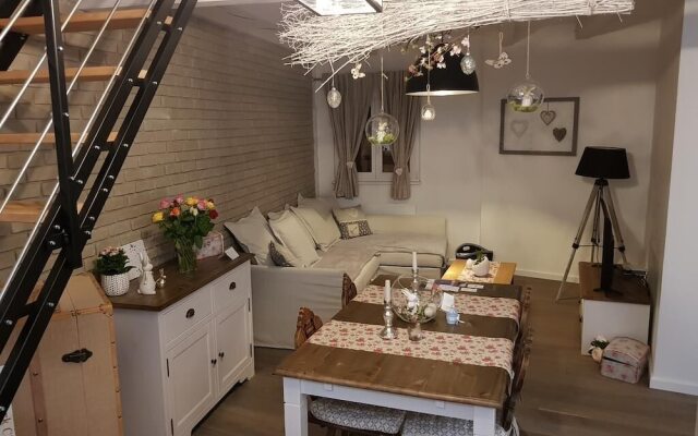 LE NID DE L'ILL, Magnifique Duplex Cosy Petite France