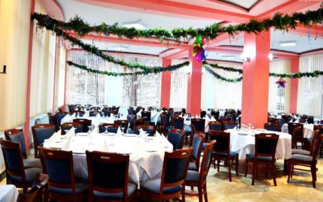 Hotel Bradul