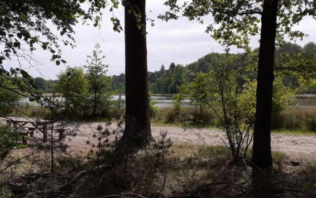 Drentse bungalow in natuur en rust