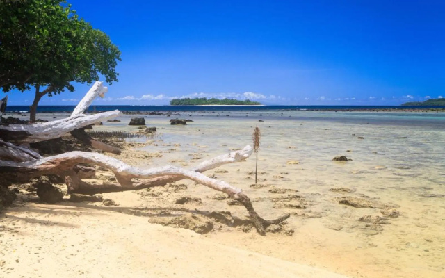 Turtle Bay Lodge