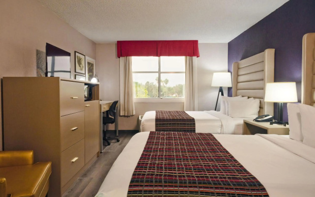 The Palms Inn & Suites