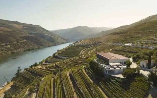 Quinta de São Luiz - The Vine House