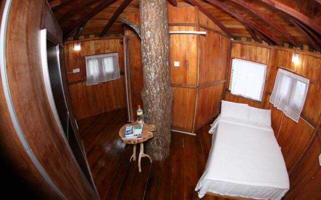 The Tree House