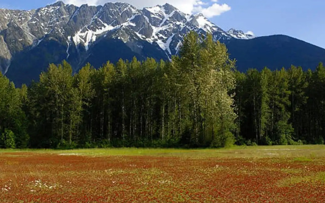 Pemberton Valley Lodge