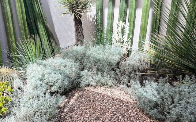 Malen House San Miguel de Allende Mexico