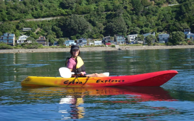 Kapiti Waves Bed & Breakfast