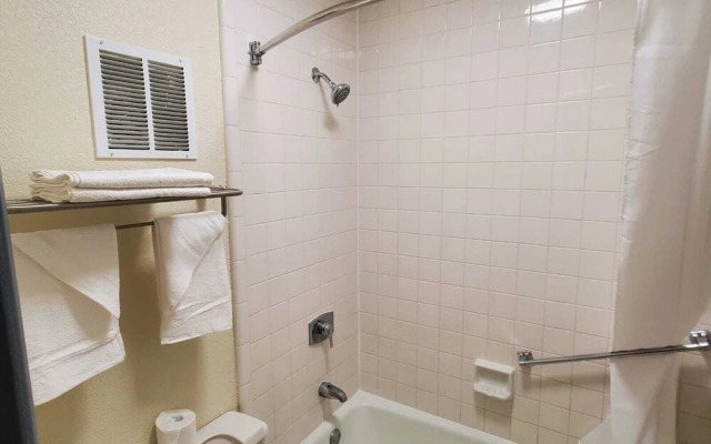 Palmetto Inn & Suites