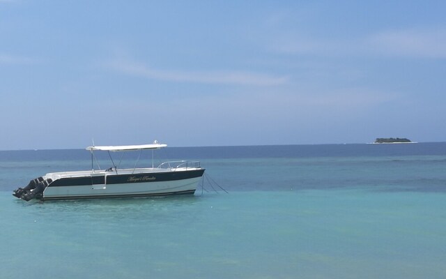 Marquis Paradise