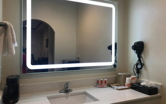 Econo Lodge Inn & Suites Houston Willowbrook