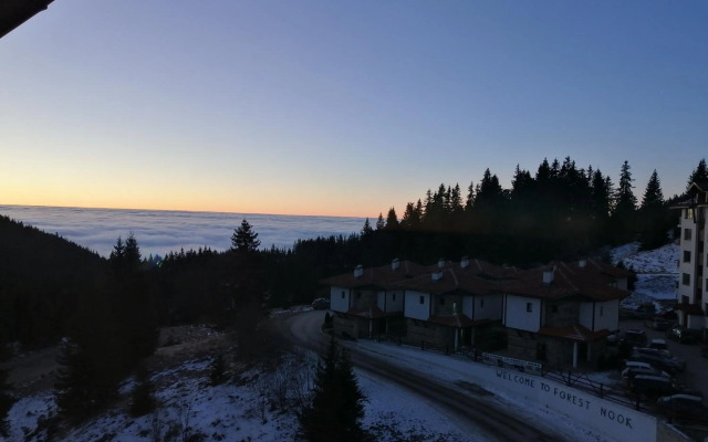 Apartment Viki Pamporovo