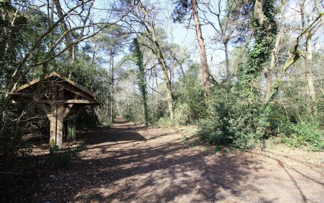 Appartement Merignac Les Eglantines