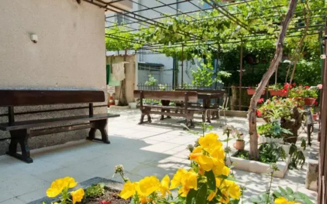 Vania Guest House