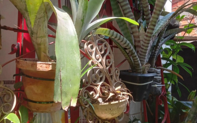 Se hospede num Cantinho Gourmet