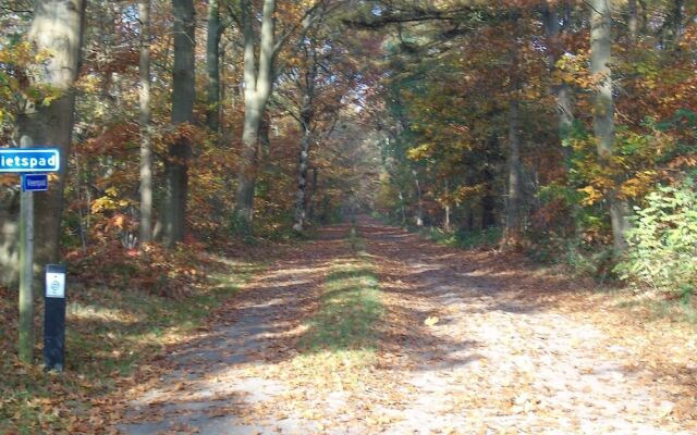 Semi-detached House With a Dishwasher, at 9 km van Slagharen