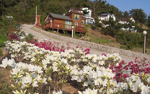 Yeongdeok Darnim Pension