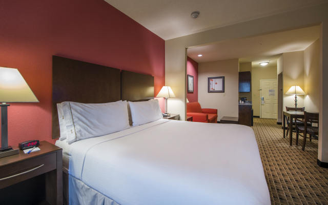 Holiday Inn Express - Suites Houston Space Ce