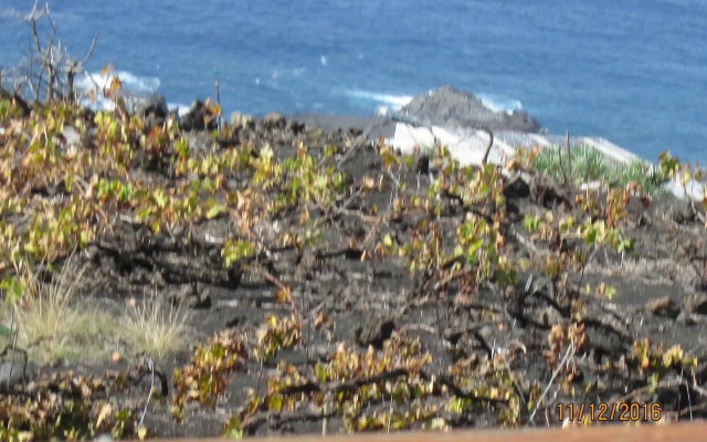 Casa las Las Viñas
