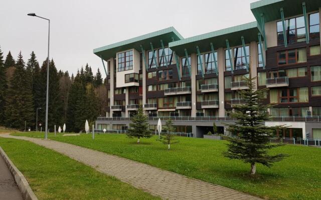 Silver Poiana Brasov Ap 41