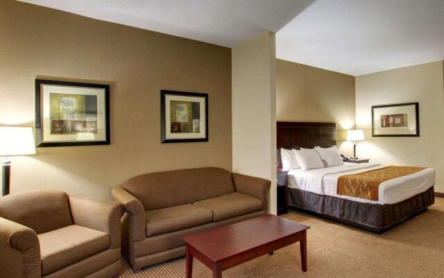 Comfort Inn And Suites Alvarado