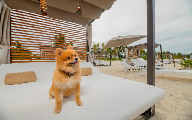 Atelier Playa Mujeres - Adults Only - All Inclusive
