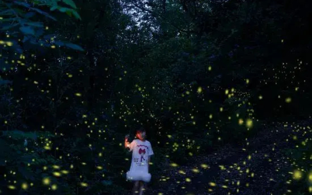 Moganshan High Mountain Forest Adventure Park · Xuan Yong Shilily Hotel