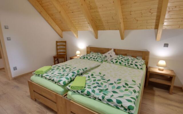 Apartment U Krále Kořenov