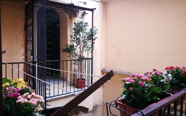 Napulitano Assaje Home