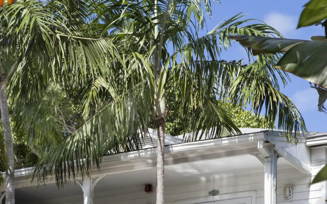 Paradise Inn Key West - Adults Only