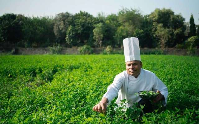 Abhyaran Resort Ranthambore