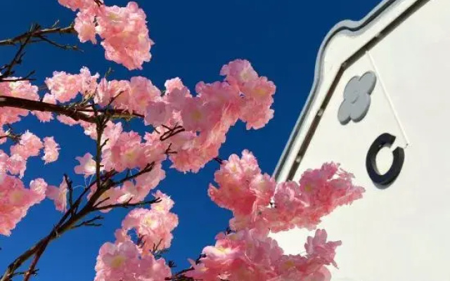YunLu Homestay (Shanghai International Tourism Resort)