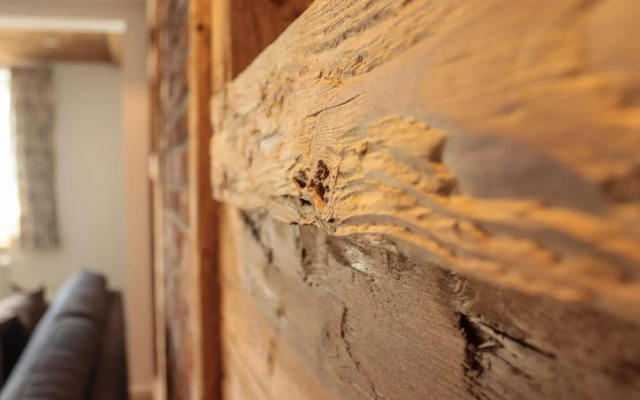 Rübenkämpers Ferienwohnungen