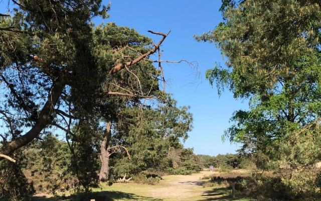 Vakantiehuisje Specht