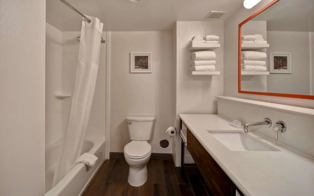 Hampton Inn Birmingham-Colonnade 280