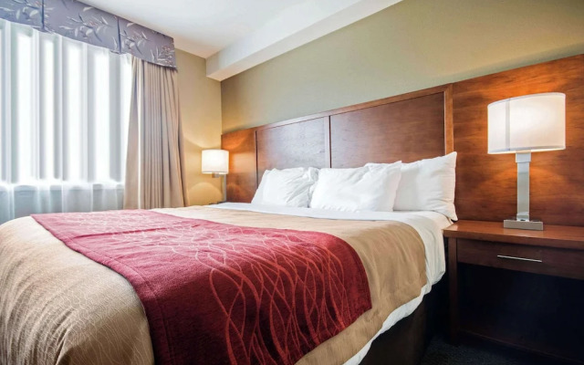 Comfort Inn & Suites Langley