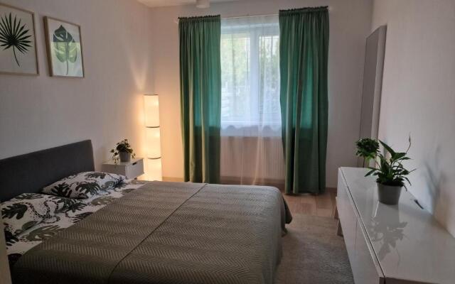 Amazing Apartament with Garden / Bucharest Airport Henri Coanda